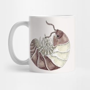 Cubaris sp. "Panda King" Isopod Mug